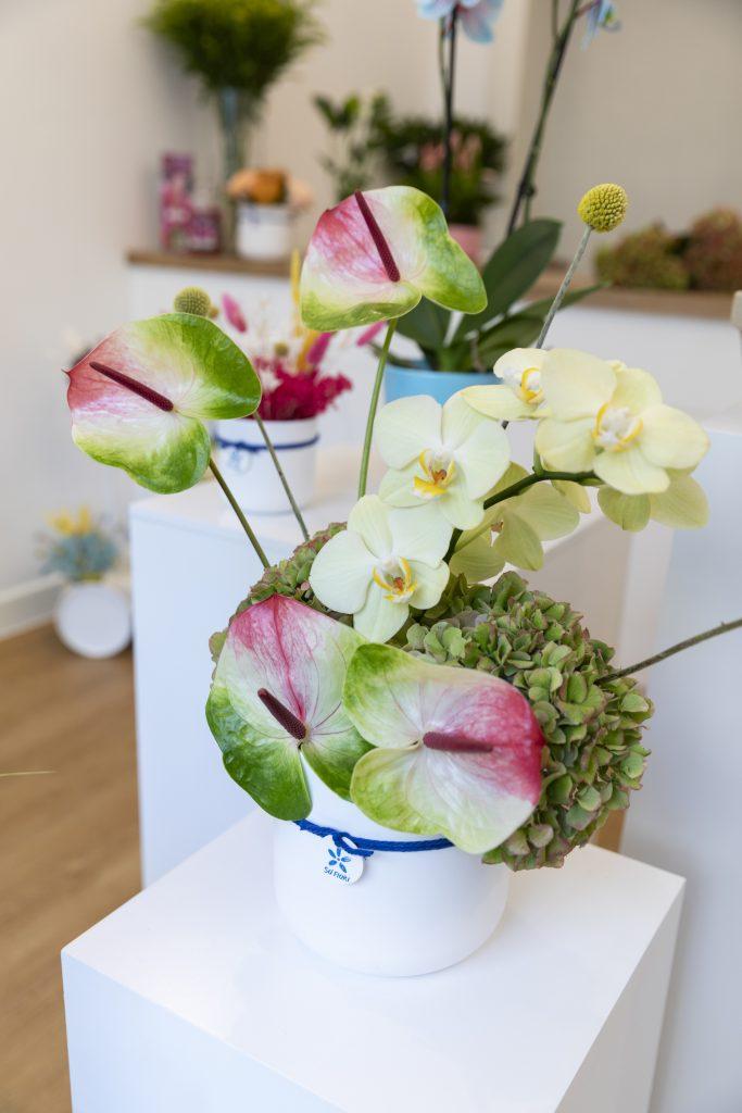 FLOWER SHOP